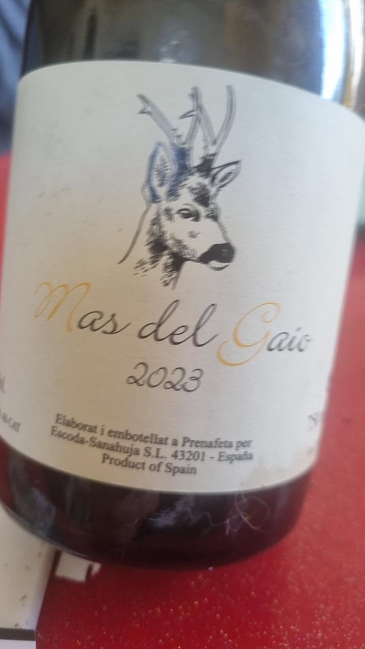 Mas del Gaio - Celler Escoda Sanahuja - Joan Ramón Escoda Martinez 
