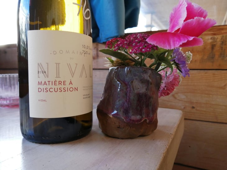 Matière à discussion - Domaine Du Nival - Denis & Mathieu Beauchemin 