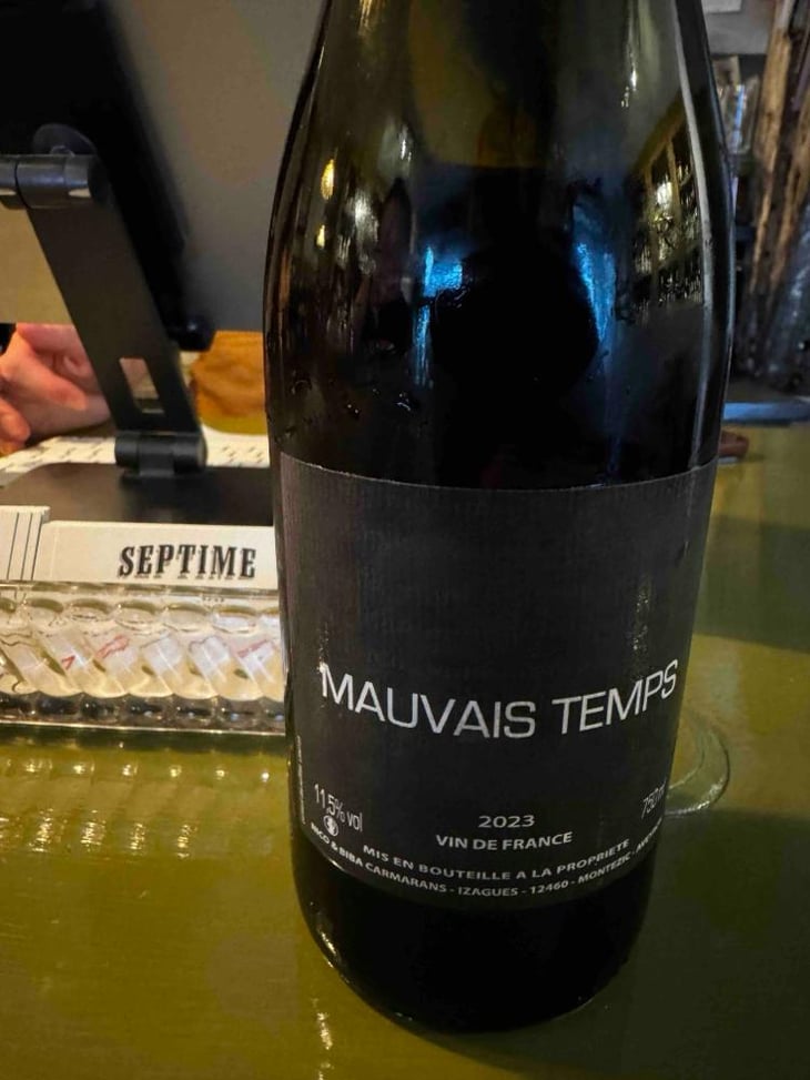 Mauvais Temps - Nicolas Carmarans - Nicolas Carmarans 