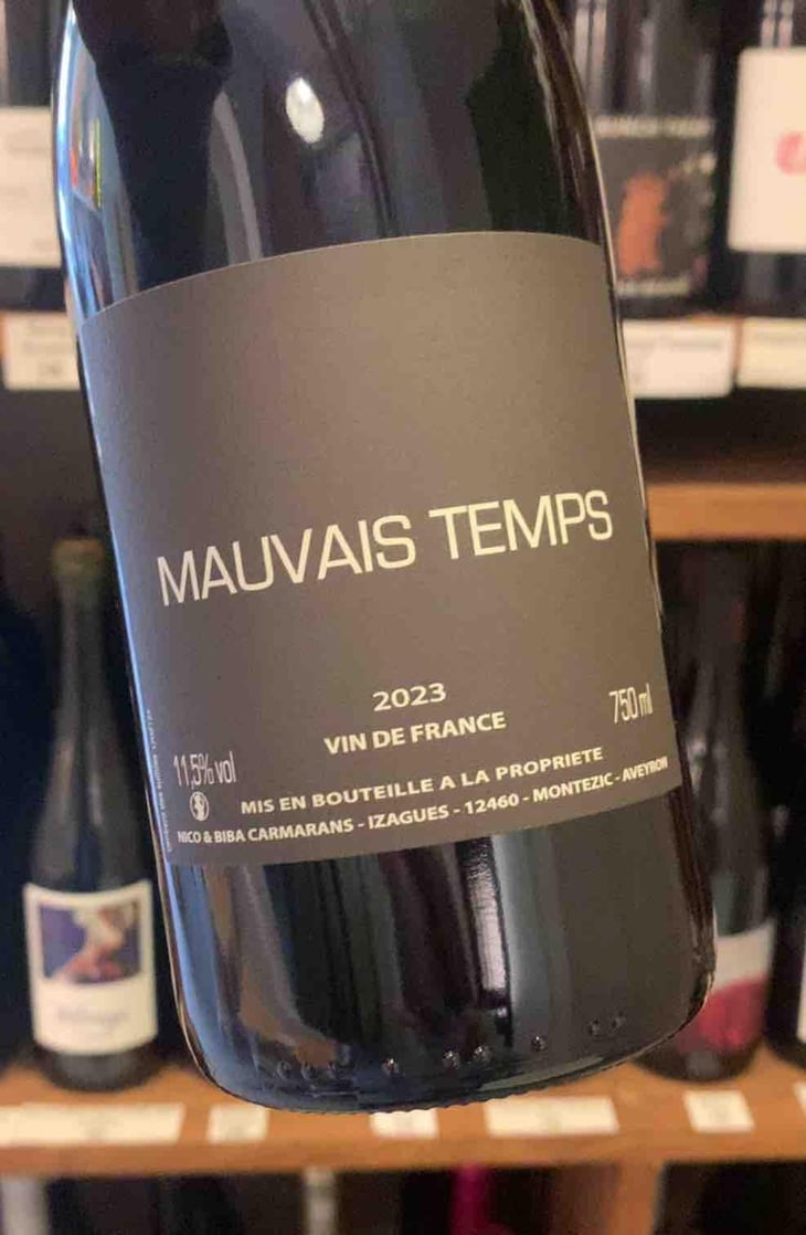 Mauvais Temps - Nicolas Carmarans - Nicolas Carmarans 