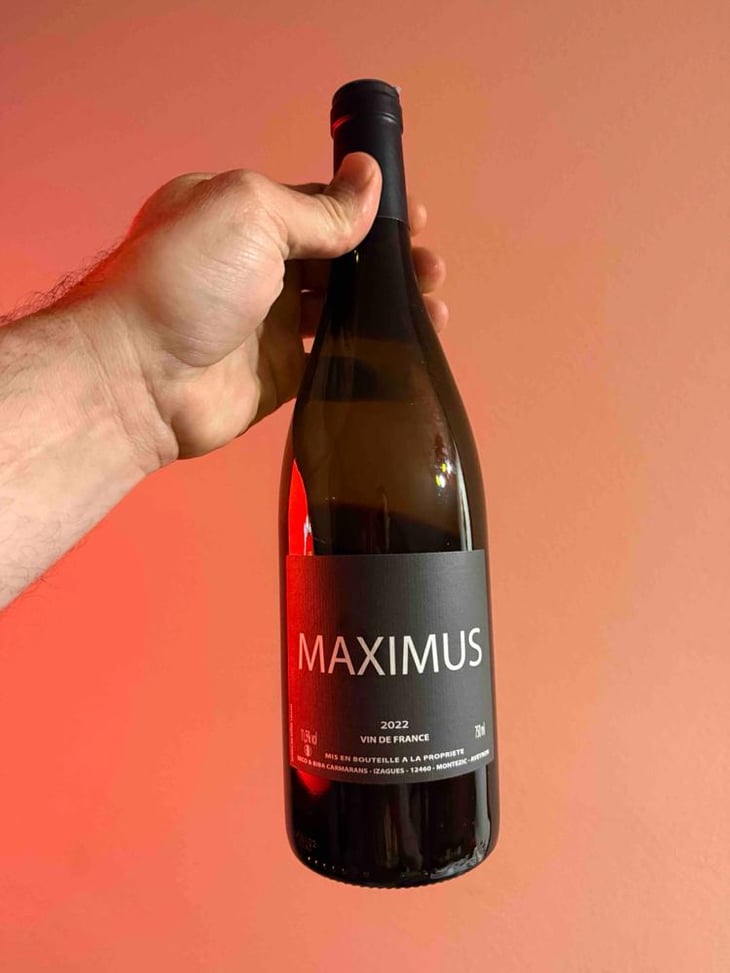 Maximus - Nicolas Carmarans - Nicolas Carmarans 