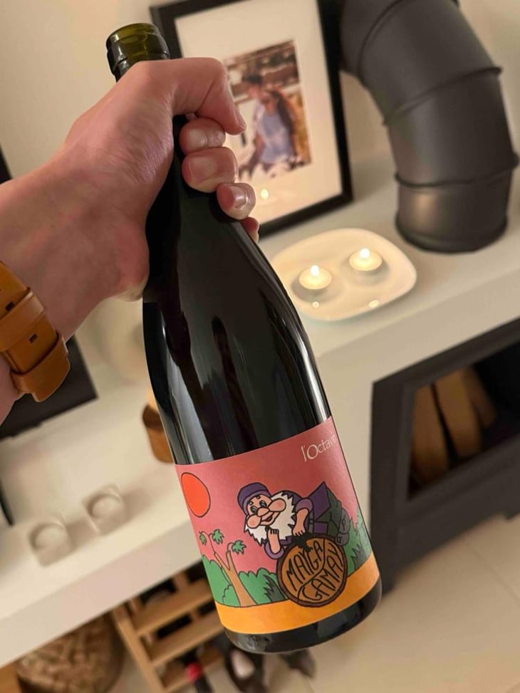 Mayga Gamay - Domaine de l'Octavin - Alice Bouvot 
