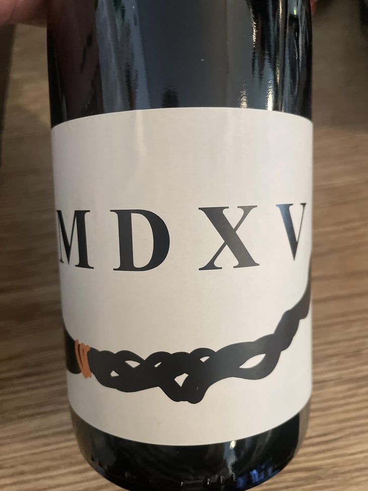 MDXV - Autour de l'Anne - Anne Leclerc Paillet 