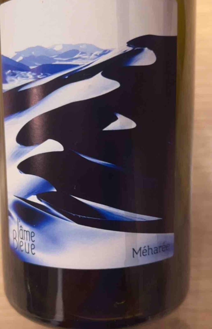Méharée 2023 X Lionel Condoret & Philippe Morat - L'Âme Bleue - Perrine Loeuilleux & Alix Wineglass + Gypsy Queen 