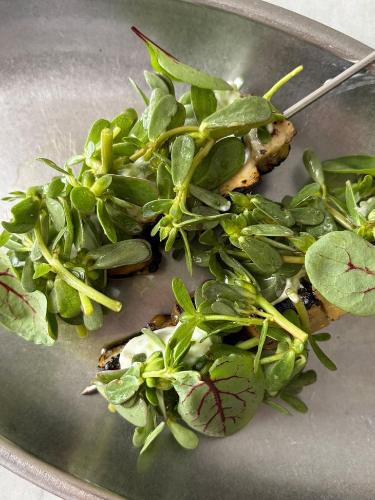 Melanzane, Yogurt, Portulaca - Ojdå - 1370489