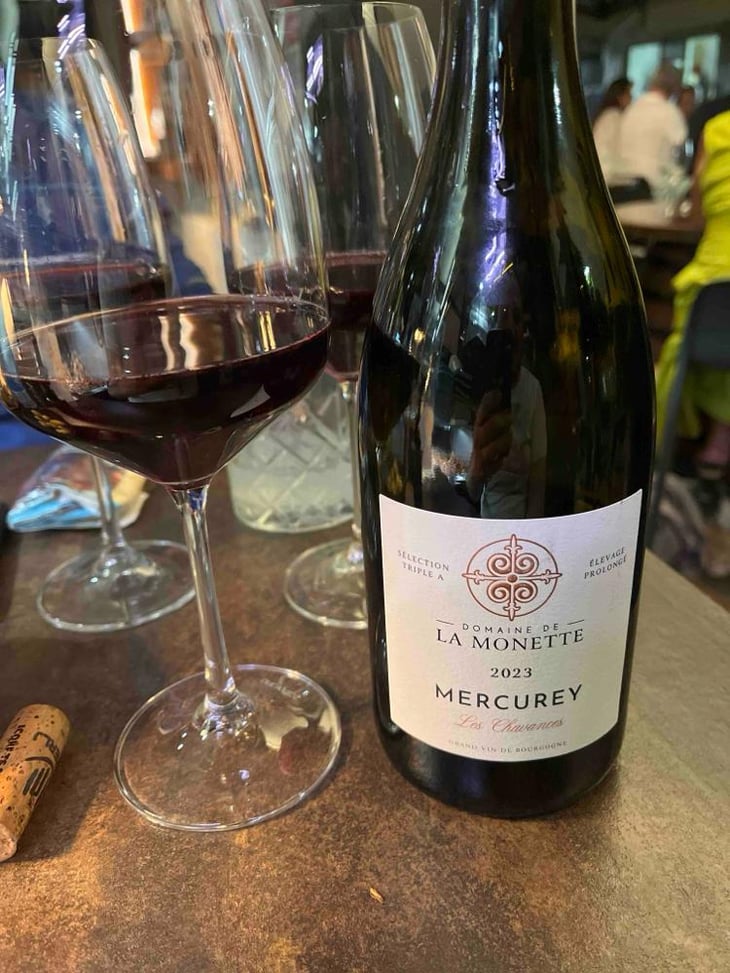 Les Chavances - Domaine De La Monette - Roelof & Marlon Ligtmans-Steine -2019