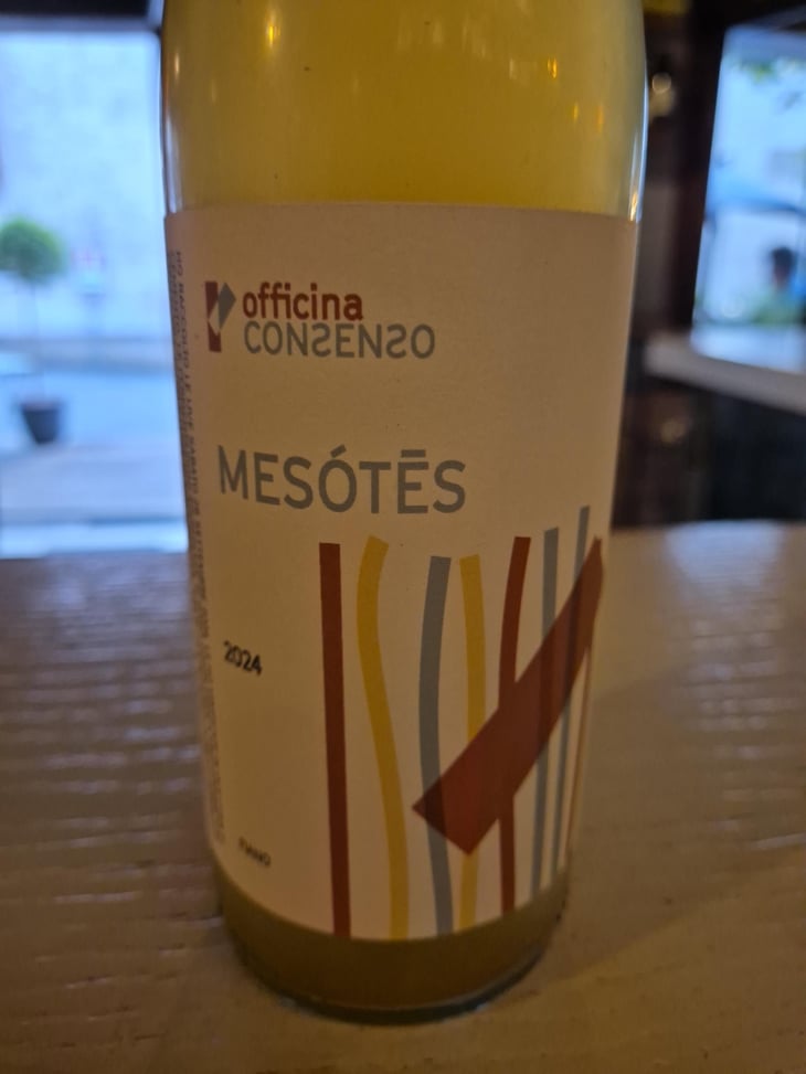 Mésótês - Officina CONSENSO - Sergio Pappalardo 