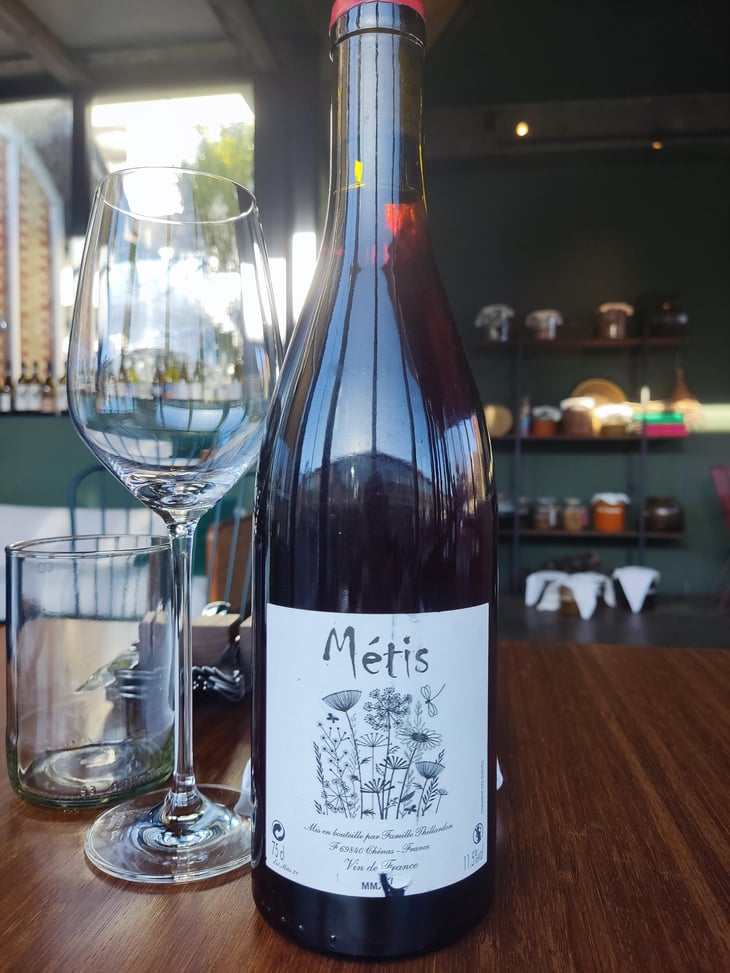 Metis - Domaine Thillardon - Aude, Jean-Baptiste, Charles et Paul-Henri Thillardon -2022