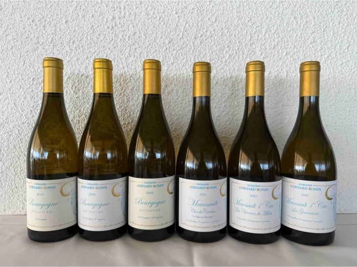 Meursault "Clos du Cromin" - Domaine Bernard-Bonin - Véronique Bonin & Nicolas Bernard -2023
