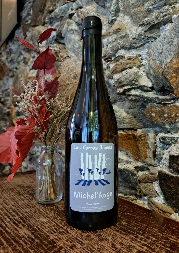 Michel'ange - Les Terres Bleues - Xavière Hardy 