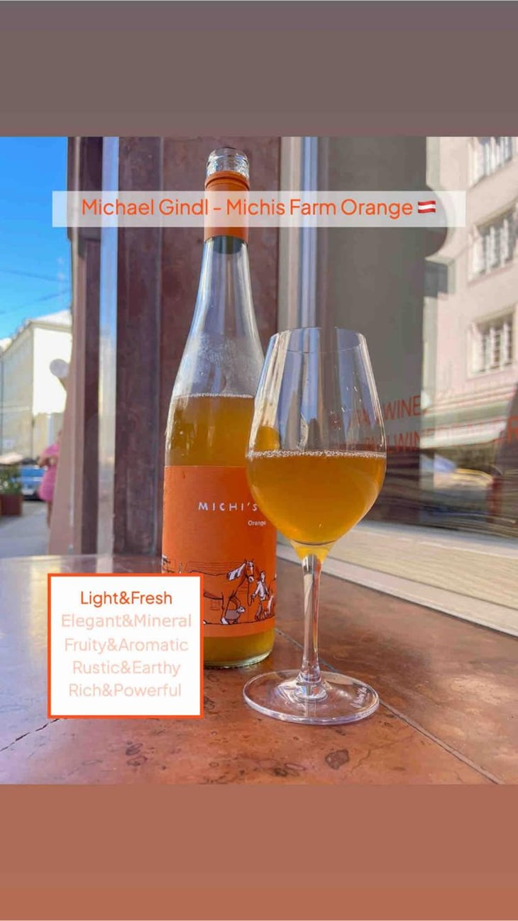 Michi's Farm Orange - MG vom Sol - Michael Gindl -2022