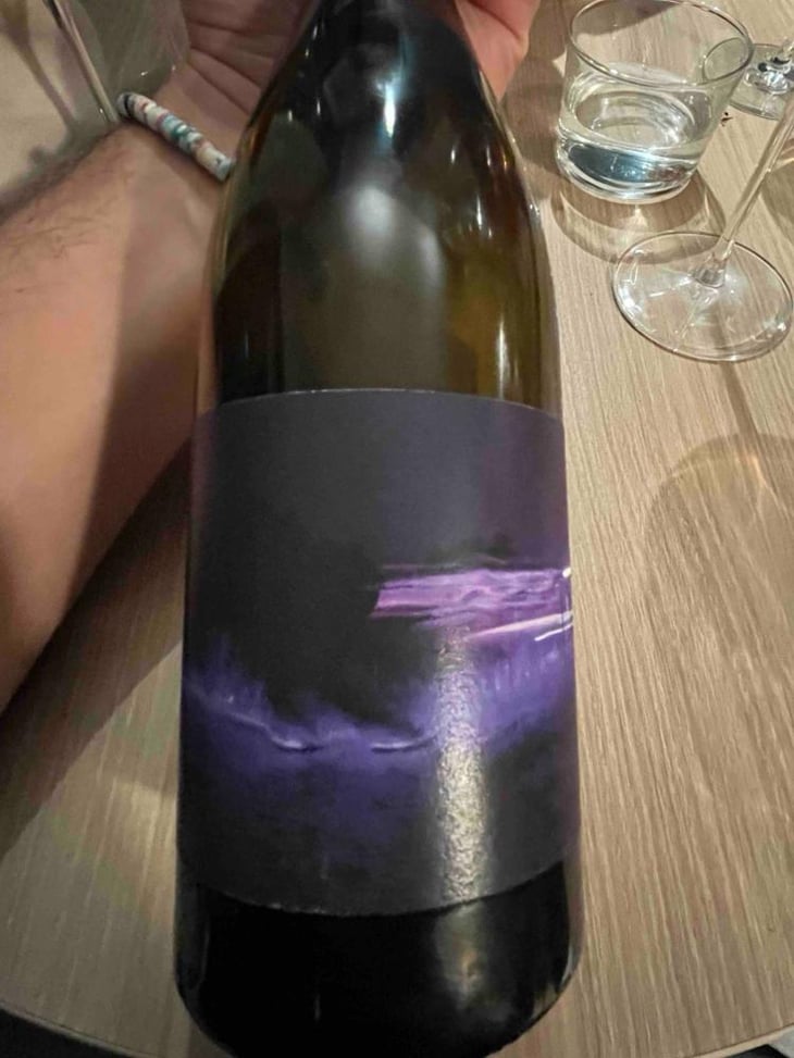 Mildiou Syrah - Les Frères Soulier - Guillaume & Charles Soulier -2024