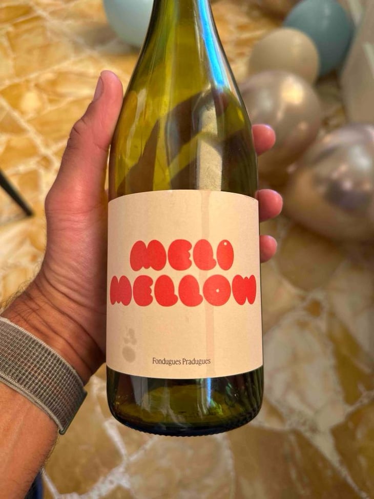 Milo Mellow - Fondugues-Pradugues - Stephen Roberts -2024