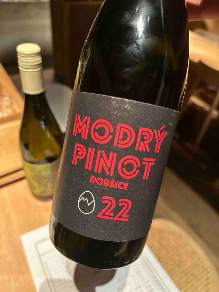 Modry Pinot - Martin Vajčner - Martin Vajčner -2022