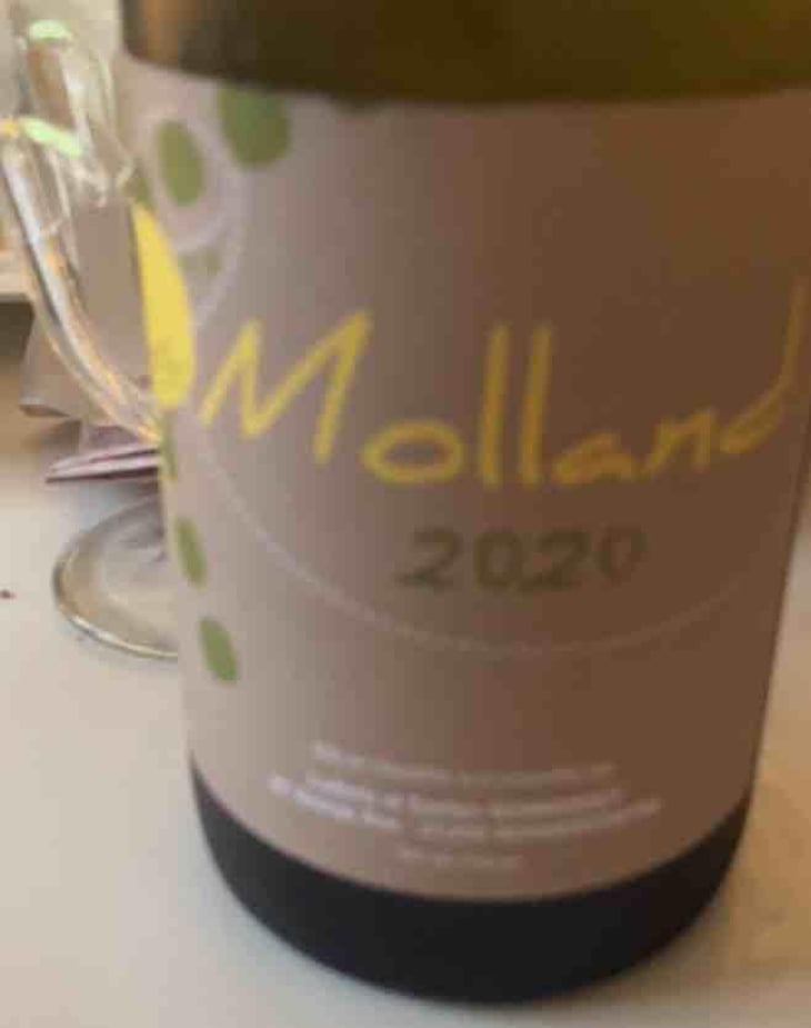 Molland - Domaine Bonnardot - Antoine, Ludovic & Emilien Bonnardot 