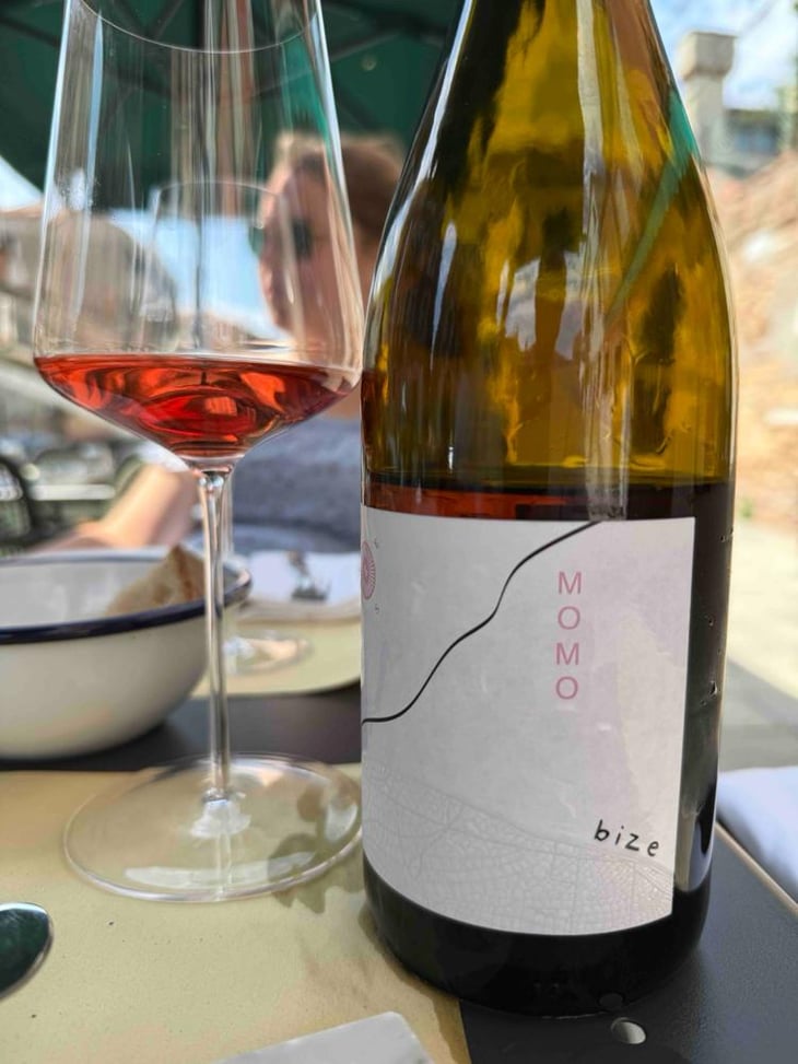 Momo - Domaine simon bize - Famille Bize 