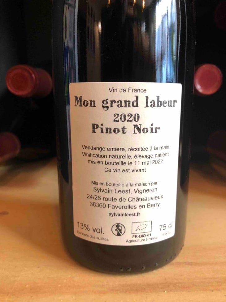 Mon grand labeur - Sylvain Leest - Sylvain Leest -2020