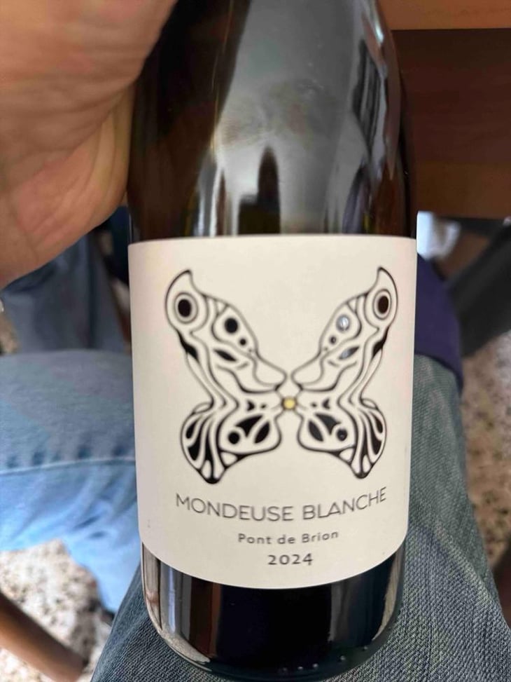 Mondeuse blanche - Domaine Jeremy Bricka - Vins Naturels D'Alp'titude - Jeremy Bricka -2022