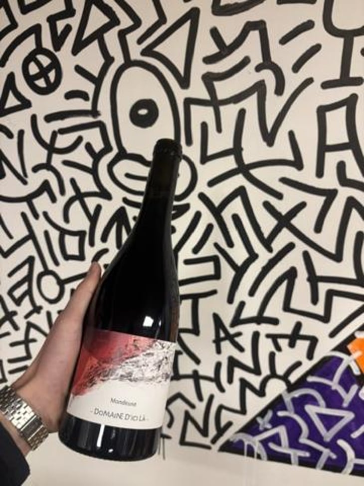 Mondeuse - Domaine D'ici là - Adrien Bariol -2022