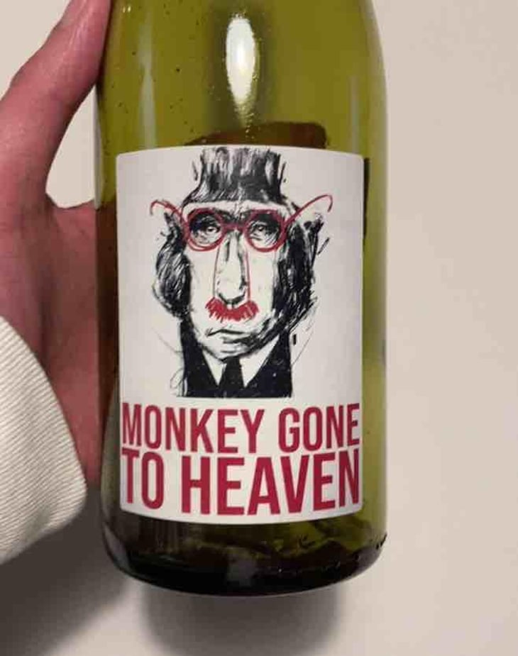 Monkey Gone To Heaven - Julien Pineau - Julien Pineau -2022