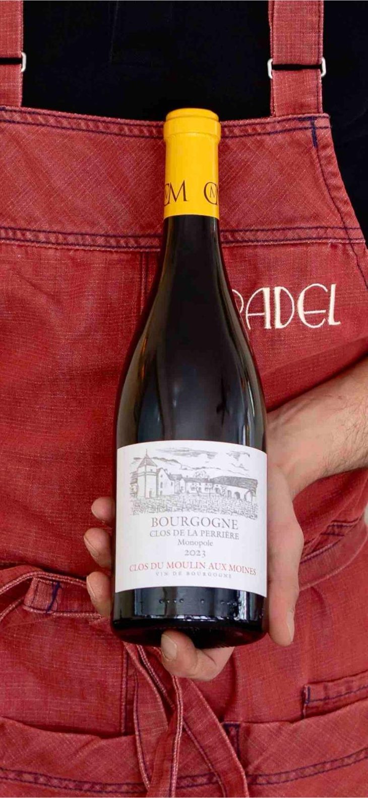 Monopole - Clos Du Moulin Aux Moines [BIO_ORGANIC] - Willy Roulendes & Famille Andrieu -2023