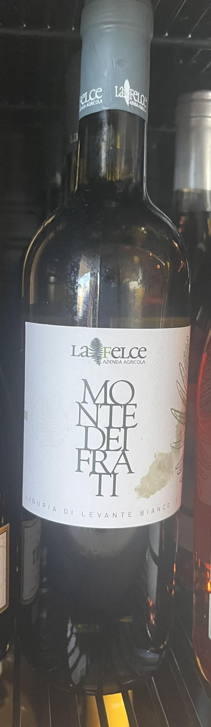 Monte Dei Frati - Le Felce - Andrea Marcesini 