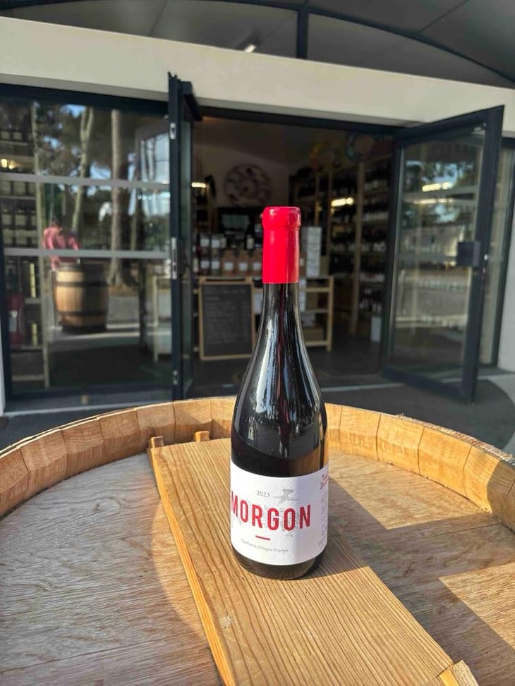 Morgon - Thibault Ducroux - Thibault Ducroux -2020