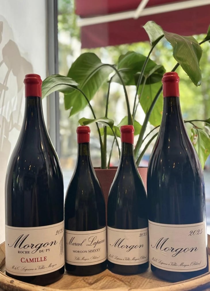 Morgon "Camille" - Domaine Marcel Lapierre - Mathieu & Camille Lapierre 