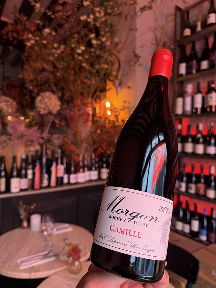 Morgon "Camille" - Domaine Marcel Lapierre - Mathieu & Camille Lapierre 
