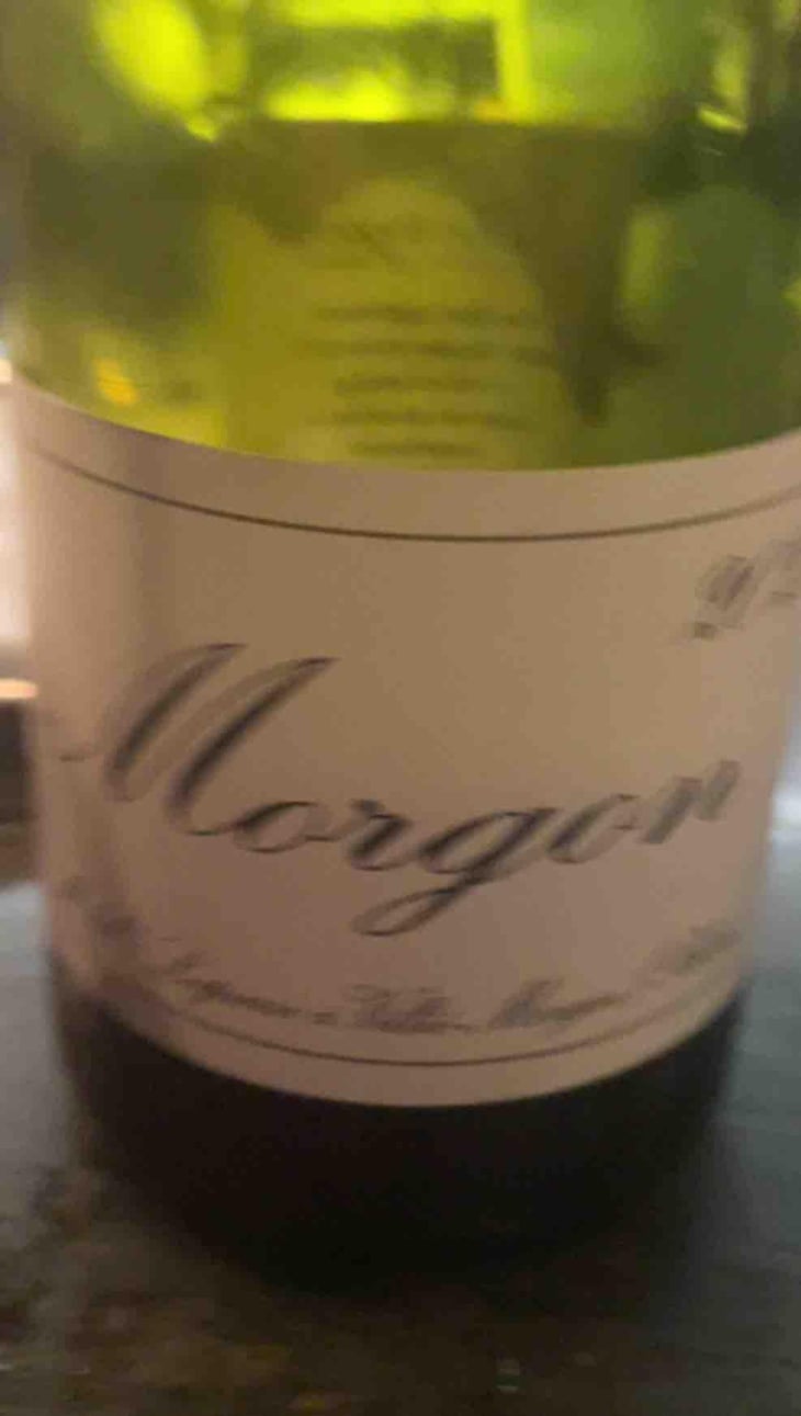 Morgon - Domaine Marcel Lapierre - Mathieu & Camille Lapierre 
