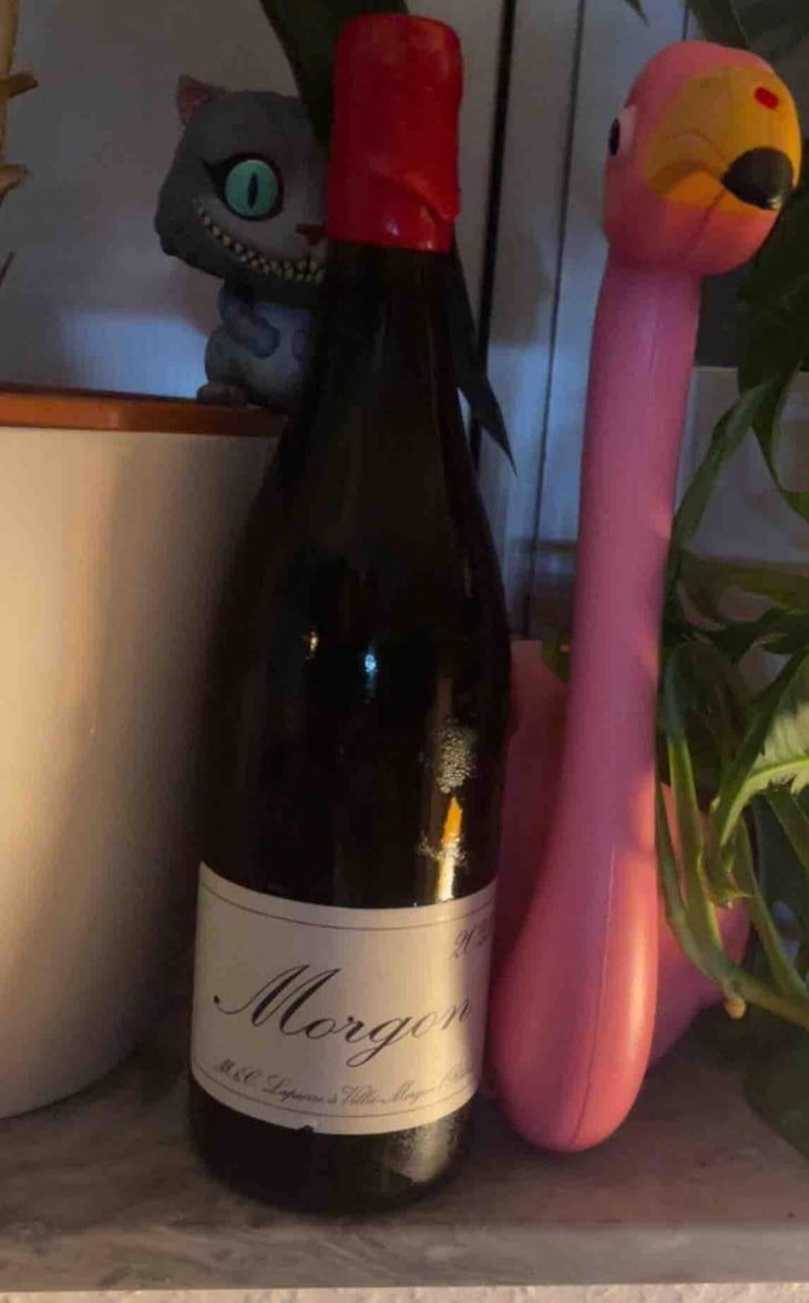 Morgon - Domaine Marcel Lapierre - Mathieu & Camille Lapierre 