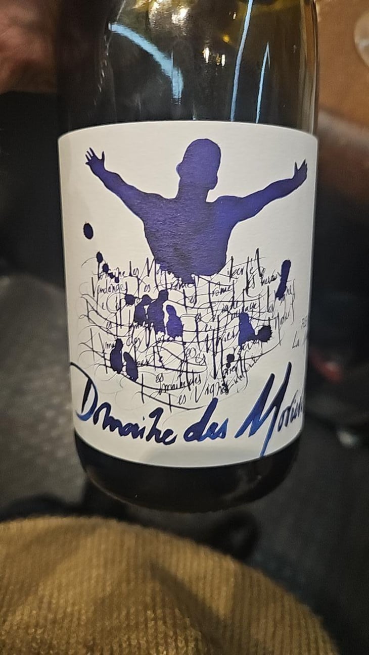 Morgon Les Charmes - Des Moriers - Domaine Des Moriers -2020