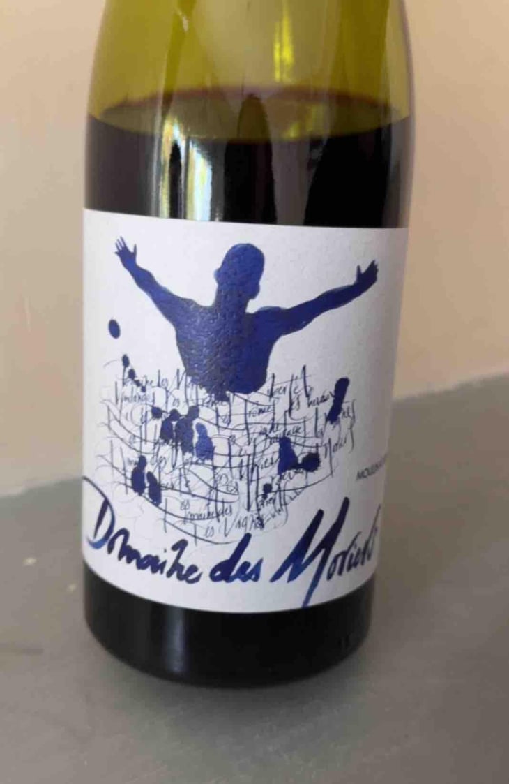 Morgon Les Charmes - Des Moriers - Domaine Des Moriers -2020