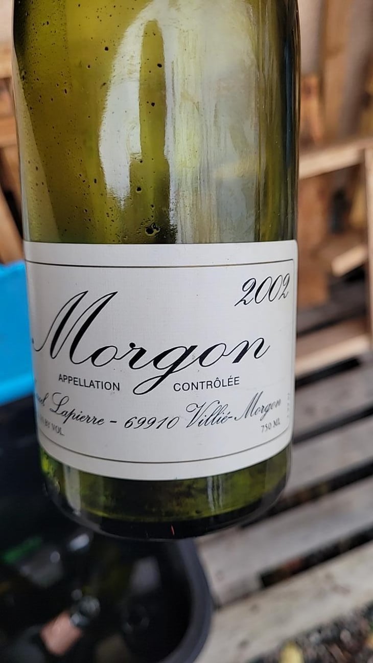 Morgon - Domaine Marcel Lapierre - Mathieu & Camille Lapierre 