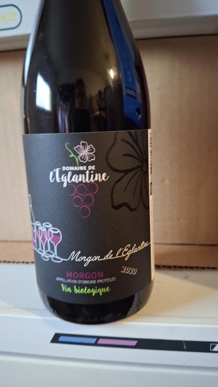Morgpn de l’Églantine - Domaine de l'Eglantine - Bertrand Grillet -2020
