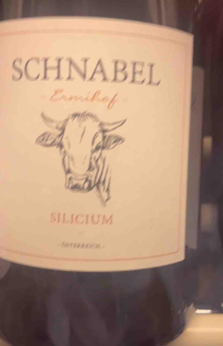 Morillon Hoch - Weingut Karl Schnabel - Karl & Eva Schnabel 