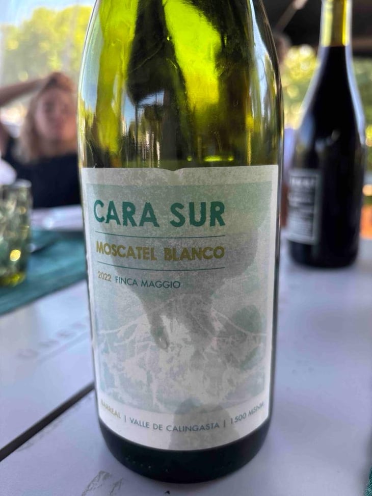 Moscatel Bianco - Cara Sur - Cara Sur -2022