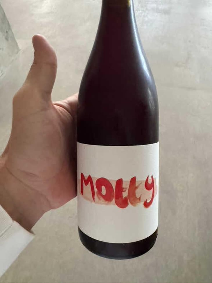 Motty - Lucy Chilvers - Lucy Chilvers -2023