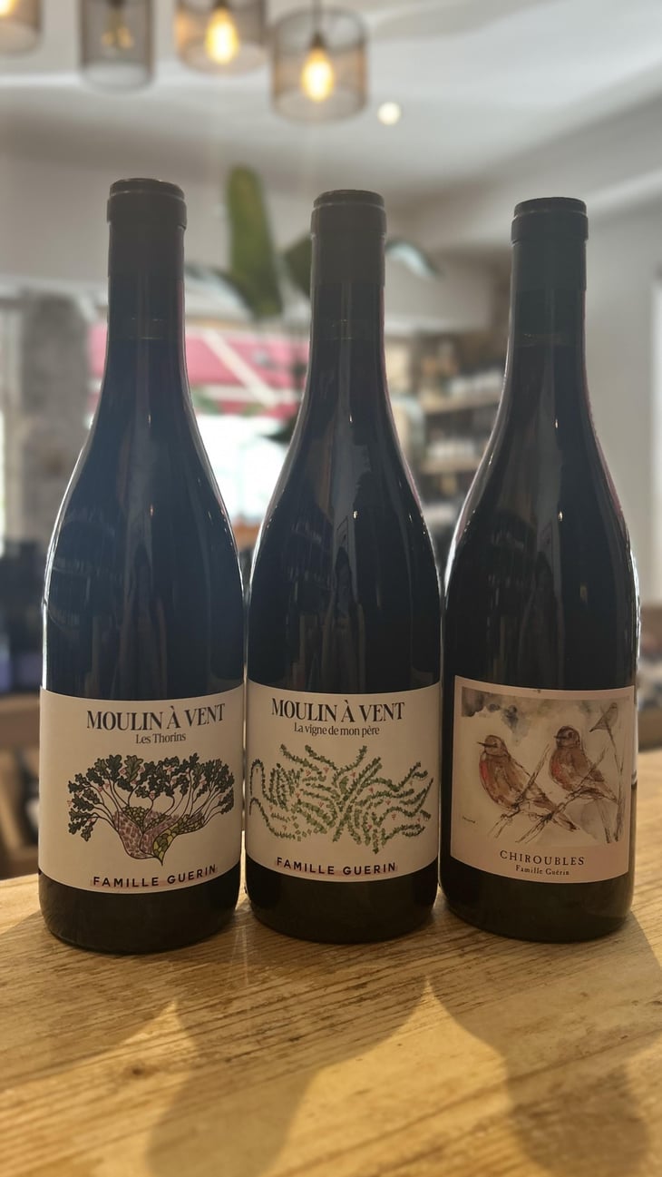 Moulin À Vent - Les Thorins - Famille Guerin - Elisa Guerin Vins - Famille Guerin 