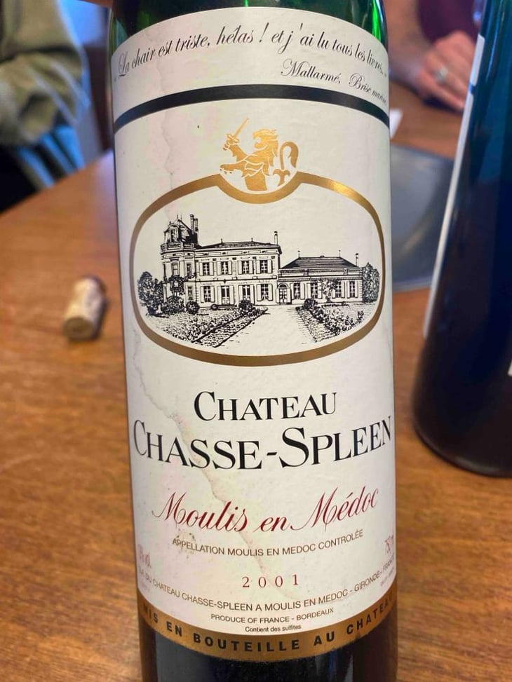 Moulis en medoc - Château Chasse Spleen - Chasse Spleen 