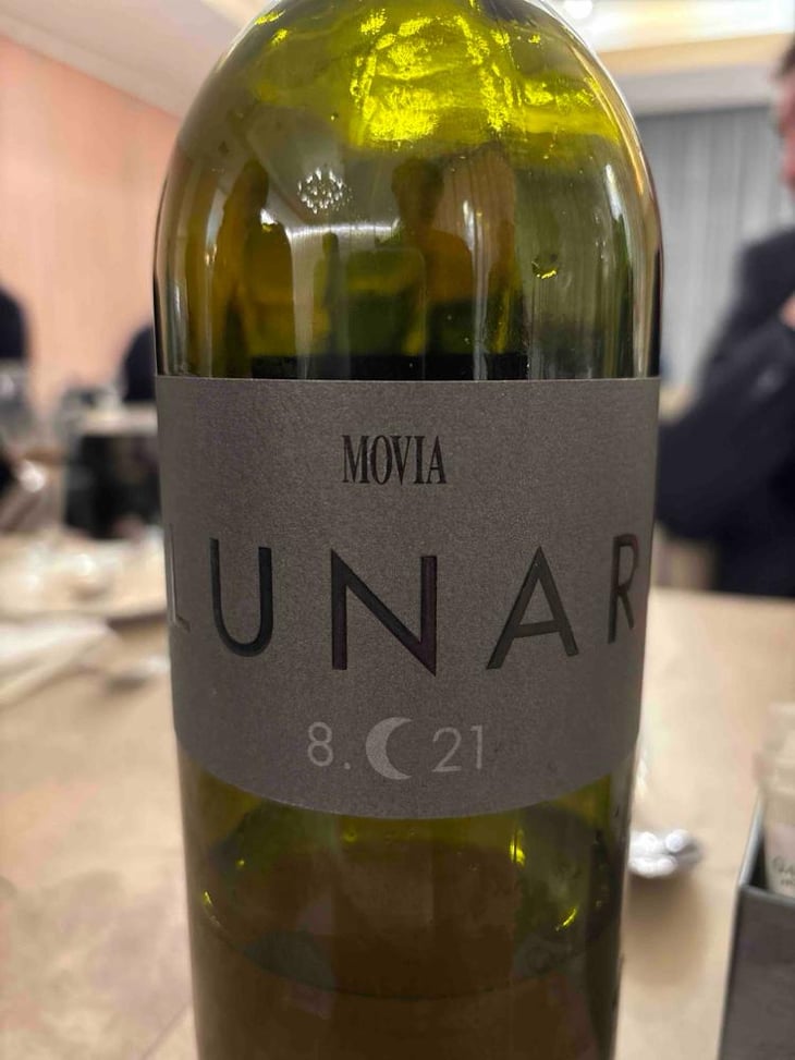 Movia Lunar - Avgvstvs Enrique Tomás - Avgvstvs Enrique Tomás -2016