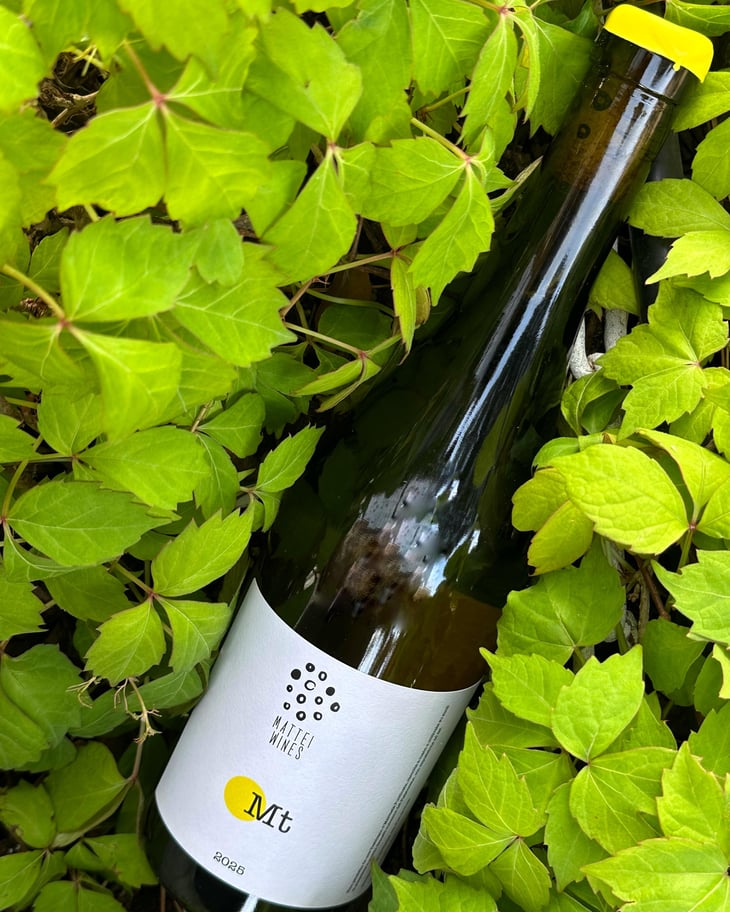 MT - Mattei Wines - Matteo e Matteo -2025