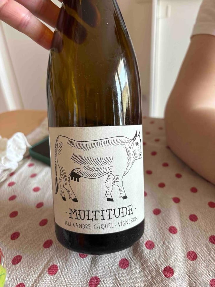 Multitude - Huit-Launay - Alexandre Giquel -2023