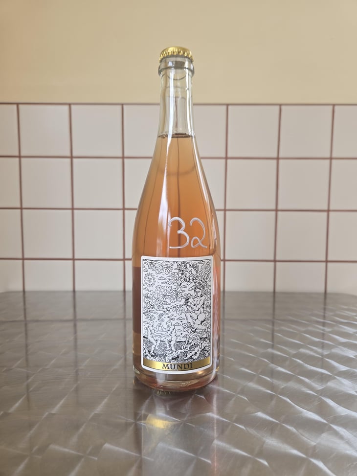 Mundi - Domaine Frédéric Mabileau - Rémy Mabileau -2023