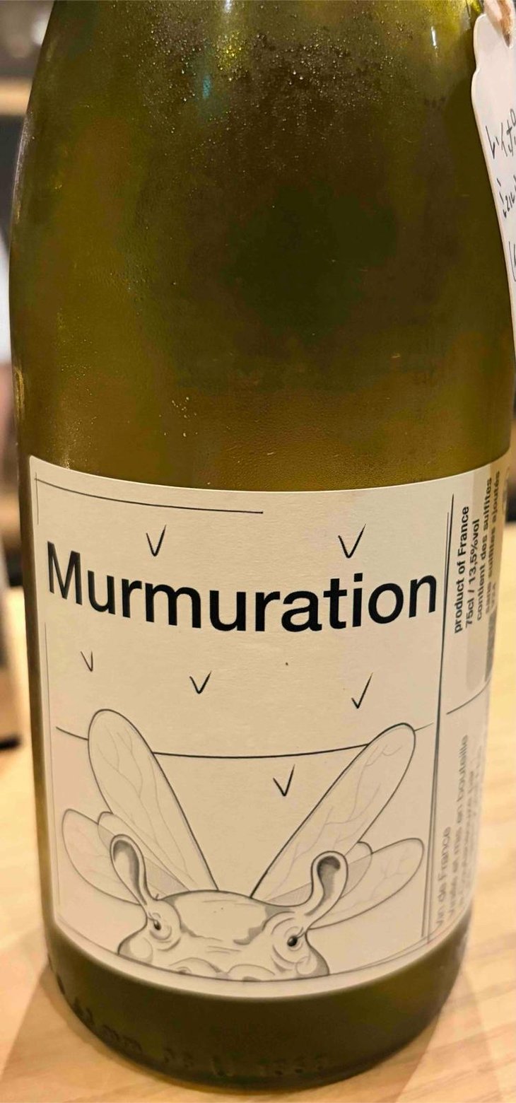 Murmuration - Les Hippogriffes - Laure et Pierre -2024