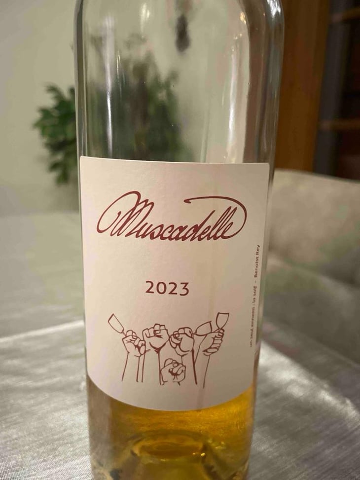 Muscadelle - Domaine Plageoles - Bernard, Florent & Romain Plageoles 