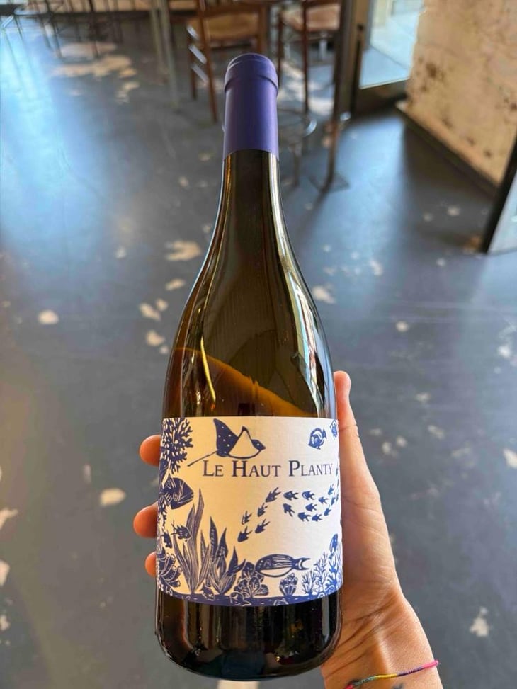 Muscadet Sur Lie - Le Haut Planty - Alain & Christian Couillaud 