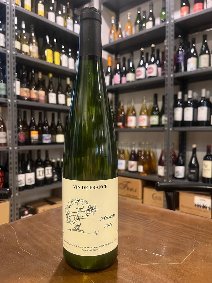 Muscat - Jean Ginglinger & Fils - Jean-Francois Ginglinger 