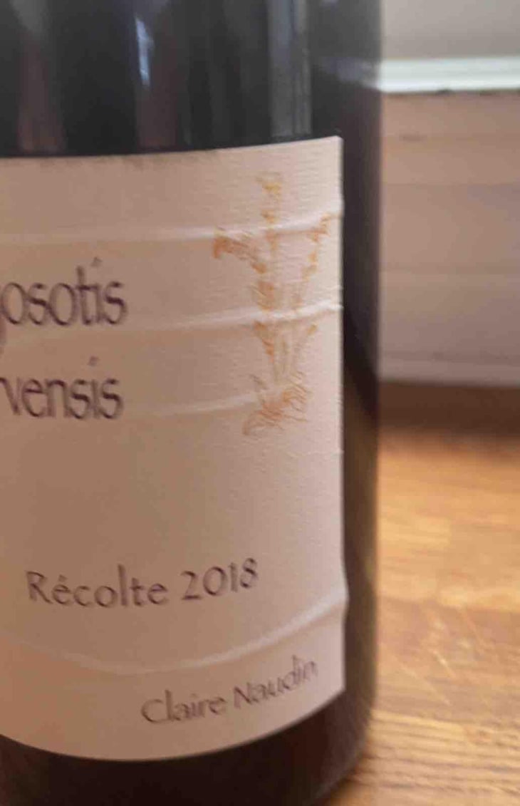 Myosotis Arvensis - Domaine Henri Naudin-Ferrand - Claire Naudin 
