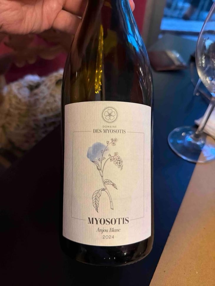 Myosotis - Domaine des Myosotis - Justine Rivet et Romain Bourreau 